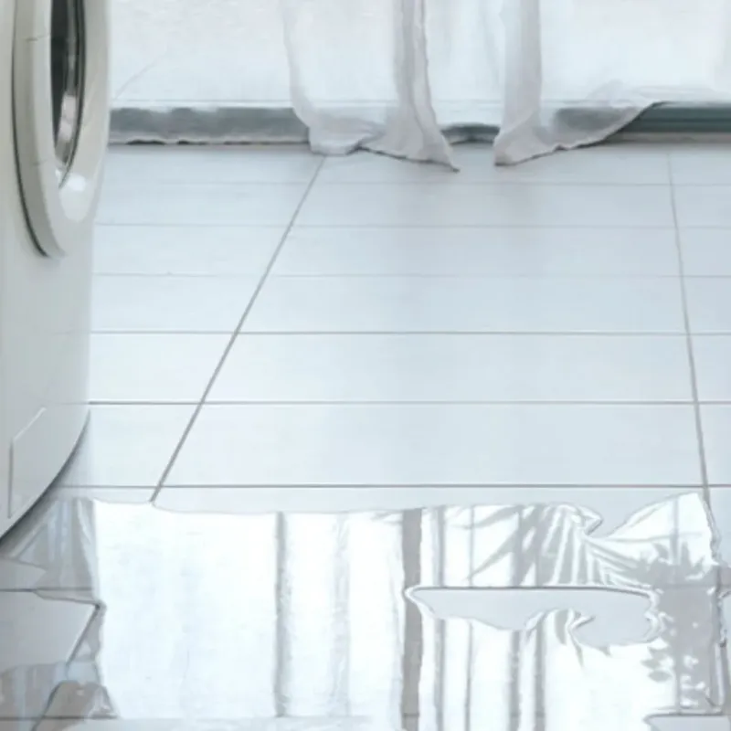 Appliance Leak Cleanup in Bishop, TX