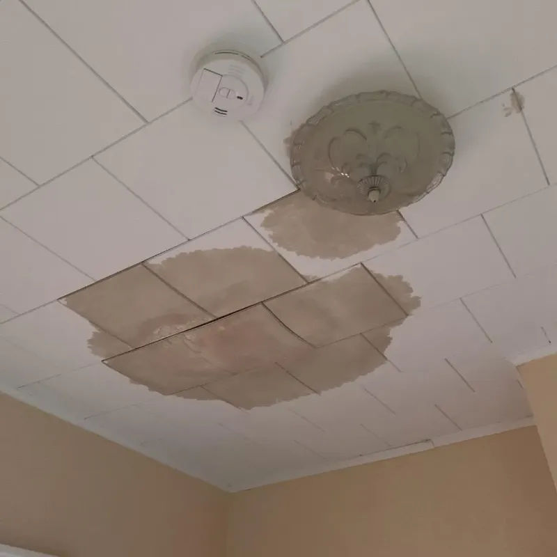 Ceiling Water Damage Repair in Bishop, TX