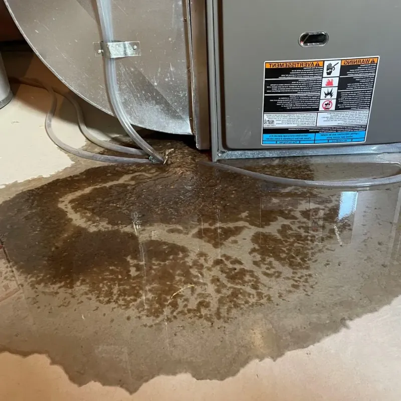 Pipe Burst and Leak Restoration in Bishop, TX