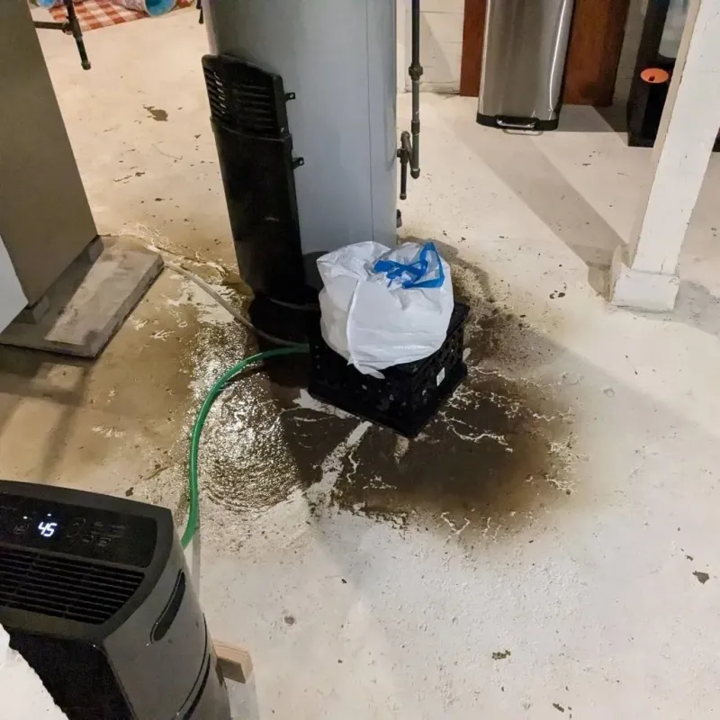 Sewage Backup Cleanup Service in Bishop, TX